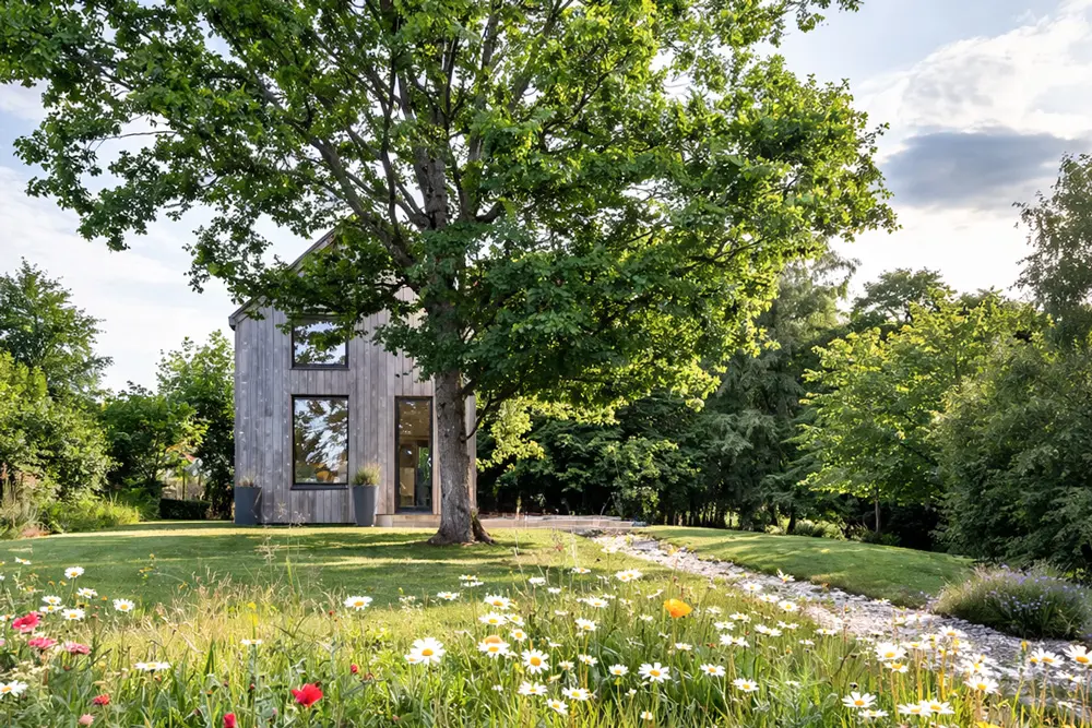 Tiny House bois grandes ouvertures campagne bardage champêtre Perche